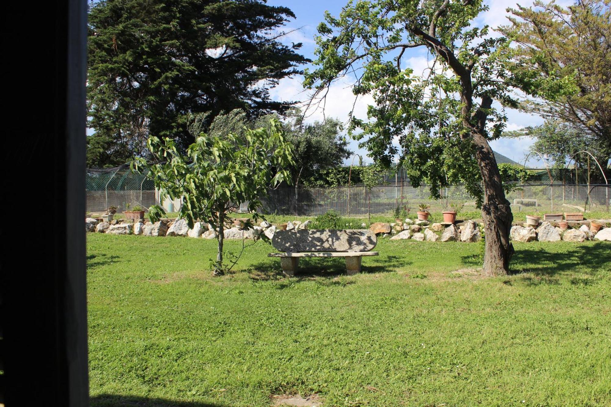 Guest House Villa Di Judighes Cerveteri Cameră foto